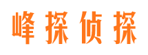 佳县市私家侦探